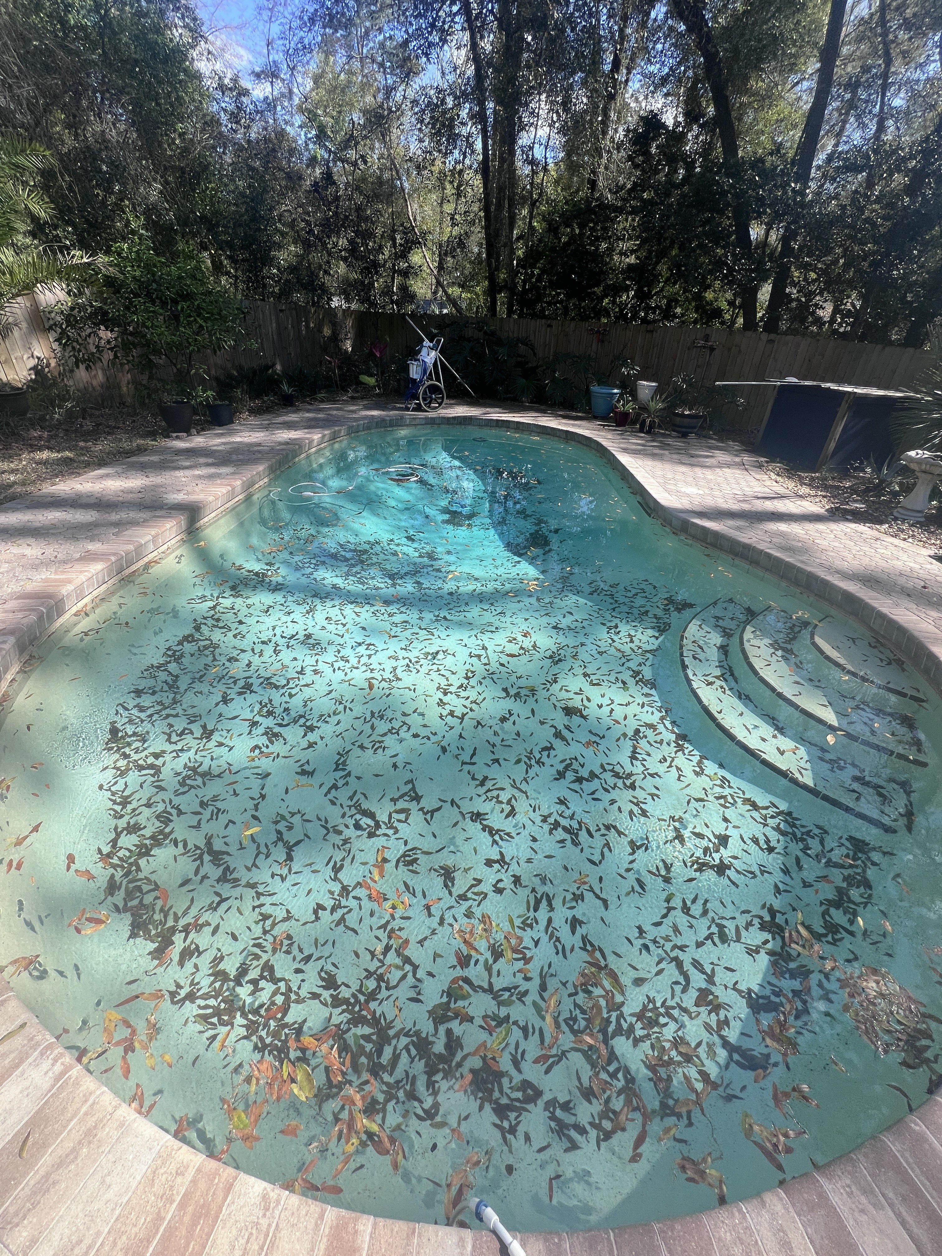 Expert Pool Maintenance in Gainesville - Pristine Pool and Home Services